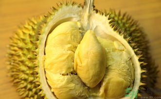 月經期間可以吃榴蓮嗎?來月經可以吃榴蓮嗎? 月經期間可以吃榴蓮嗎?來月經可以吃榴蓮嗎?