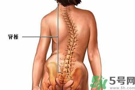 僵直性脊椎炎的癥狀有哪些？怎樣預防僵直性脊椎炎？