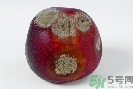 水果發霉了可以吃嗎？發霉的水果對人體有什么危害？