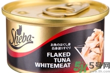 罐頭食品有哪些？罐頭食品含防腐劑嗎？