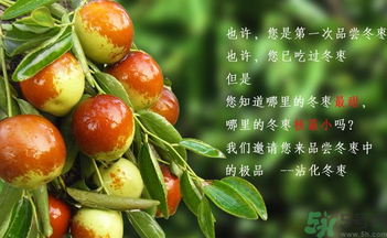 晚上吃棗子會胖嗎？晚上吃新鮮棗子會胖嗎？
