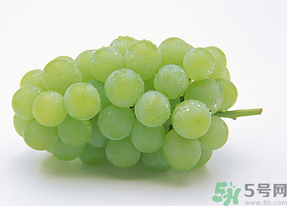 新鮮葡萄能放冰箱嗎？新鮮葡萄的保存方法