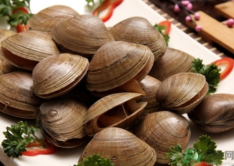 蜆子煮多長時間？蜆子怎么煮？