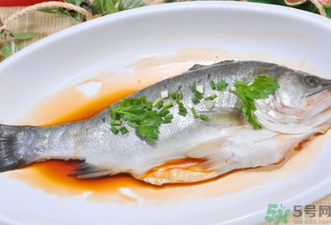 鱸魚是發(fā)物嗎？手術(shù)后可以吃鱸魚嗎？