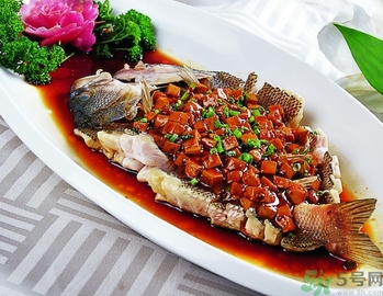 鱸魚和桂魚哪個好吃？鱸魚和桂魚的區(qū)別