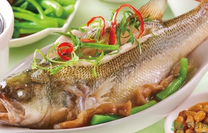 鱸魚和桂魚哪個好吃？鱸魚和桂魚的區(qū)別