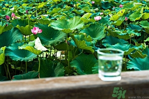 小蘇打能治癌癥嗎？蘇打水可以治癌癥嗎？