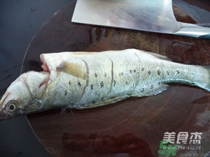 鱸魚蒸多長時間？鱸魚怎么蒸？