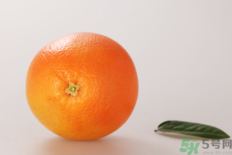 西柚有助于著床？西柚有利于胚胎著床嗎？