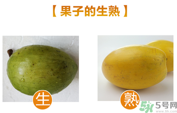 蛋黃果多少錢一斤？蛋黃果什么時(shí)候成熟？