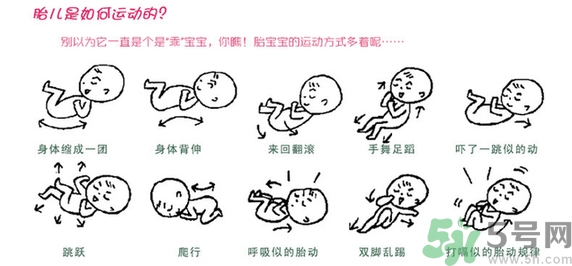胎動怎么數最正確？胎動有什么規律？