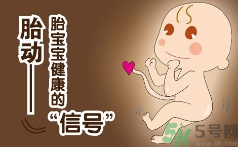 胎動怎么數最正確？胎動有什么規律？