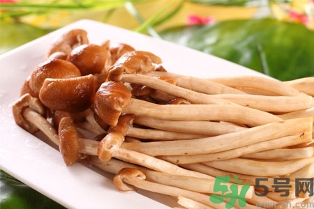 茶樹菇的營養價值 茶樹菇的功效與作用