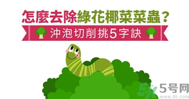 西蘭花里有蟲子怎么辦？花椰菜里面好多蟲怎么辦？
