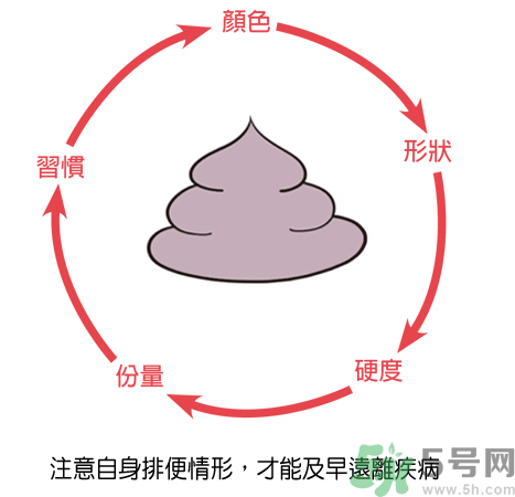 便秘體質的人怎么辦？便秘體質怎么調理？