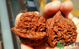 核桃長蟲了還能吃嗎？核桃長蟲子怎么處理？