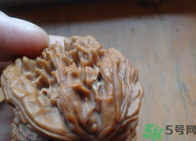 核桃長蟲了還能吃嗎？核桃長蟲子怎么處理？