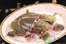 甲魚怎么殺？甲魚怎么處理？