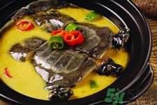 甲魚怎么殺？甲魚怎么處理？