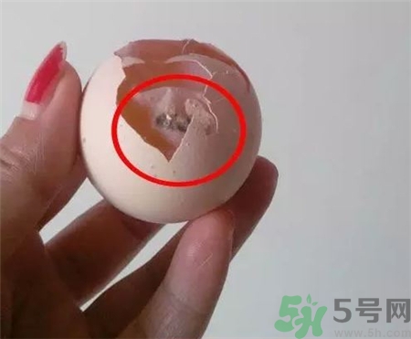 雞蛋殼有霉點還能吃嗎?雞蛋殼發霉了還能吃嗎?