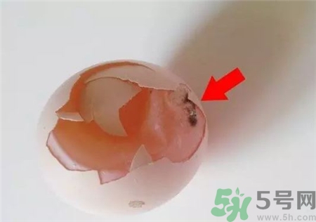 雞蛋殼有霉點還能吃嗎?雞蛋殼發霉了還能吃嗎?