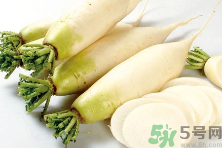 白蘿卜的營養價值 白蘿卜的功效與作用