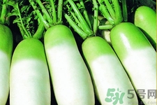 白蘿卜的熱量是多少？白蘿卜一天吃多少好？