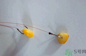 煮熟的玉米能釣魚(yú)嗎？煮熟的玉米能直接釣魚(yú)嗎？