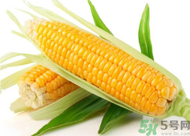 新鮮玉米怎么保存？鮮玉米怎么保存？