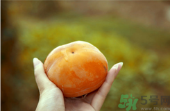 凍柿子和酸奶可以一起吃嗎？?jī)鍪磷雍退崮虝?huì)中毒嗎？