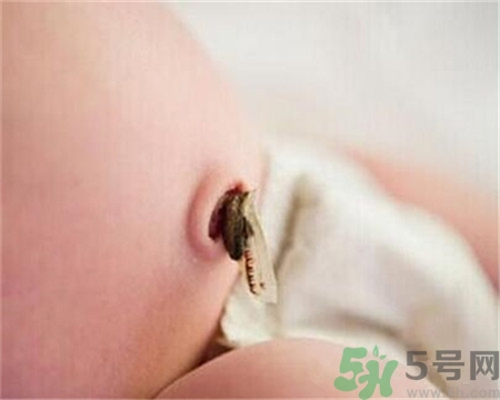 新生兒肚臍怎么護理？新生兒肚臍什么時候掉？