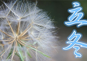 立冬可以釣魚嗎？立冬釣魚注意事項