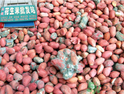 花生米發霉了還能吃嗎？花生米發霉了怎么辦？