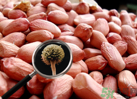 花生米發霉了還能吃嗎？花生米發霉了怎么辦？