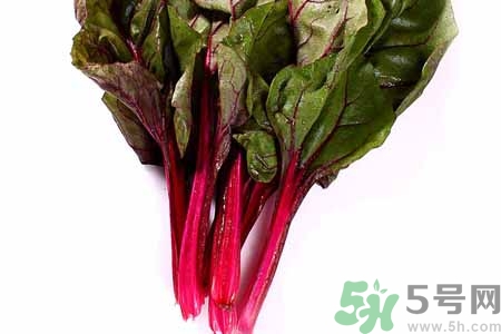 甜菜是蘿卜嗎？甜菜和蘿卜的區別