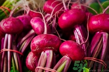 吃甜菜有什么好處？吃甜菜對(duì)身體好嗎？