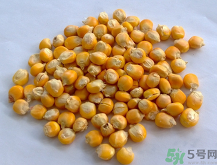玉米用什么泡釣魚好？玉米怎么泡好釣魚？
