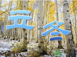 立冬可以栽樹嗎？立冬栽樹樹會死嗎？