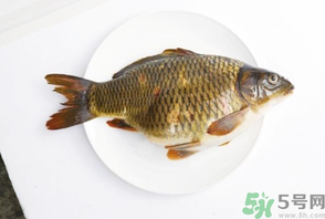 鯉魚死了還能吃嗎？鯉魚死了多久不能吃？
