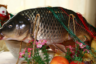 鯉魚死了還能吃嗎？鯉魚死了多久不能吃？