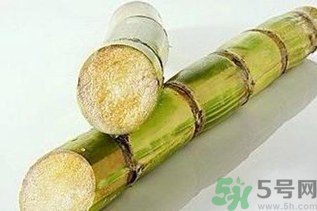 血糖高的人能吃甘蔗嗎？血糖偏高可以吃甘蔗嗎？