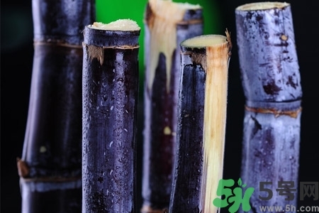 甘蔗一天吃多少最好？甘蔗能每天都吃嗎？