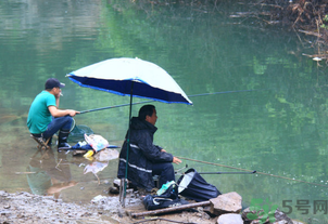 釣的魚怎么保存？釣的魚吃不完怎么保存？