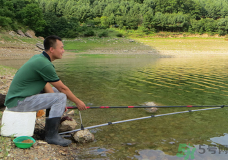 釣的魚怎么保存？釣的魚吃不完怎么保存？