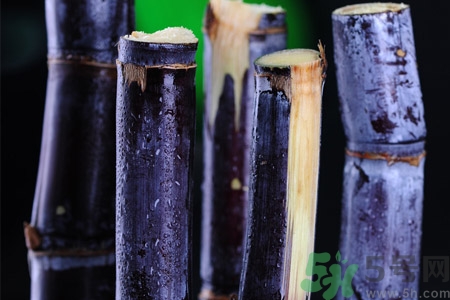 老人一天吃多少甘蔗最好？老人一天吃多少甘蔗合適？
