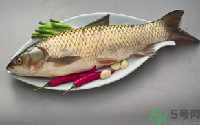 秋天怎么釣草魚？秋天草魚好釣嗎？