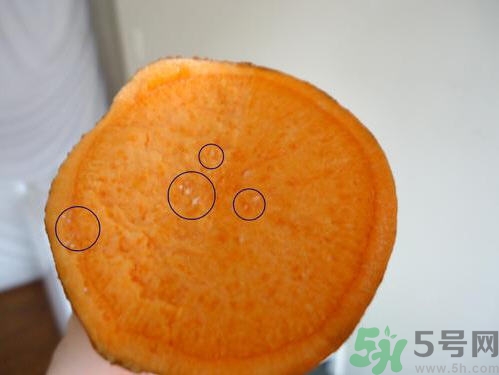 番薯發(fā)芽還能吃嗎？山芋發(fā)芽還能吃嗎？