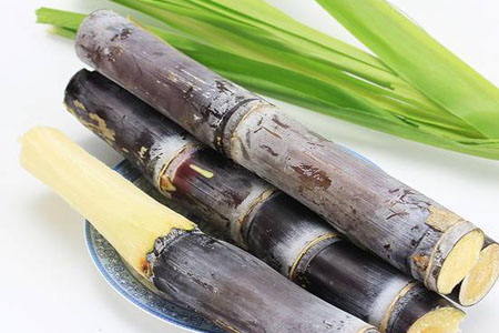 甘蔗汁一天喝多少最好？甘蔗汁能每天都喝嗎？