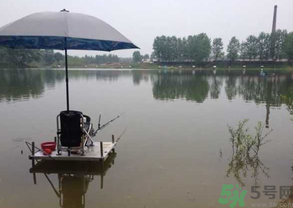 水庫釣魚用什么餌料？水庫釣魚用什么商品餌？