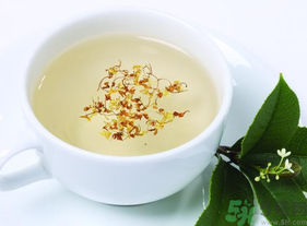 新鮮桂花能泡茶嗎？新鮮桂花怎么處理泡茶？
